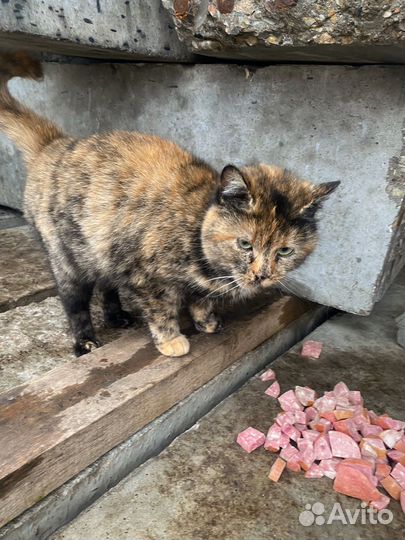 Малышке 6 месяцев