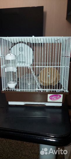 Клетка для джунгарского хомяка