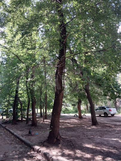 1-к. квартира, 30,3 м², 5/5 эт.