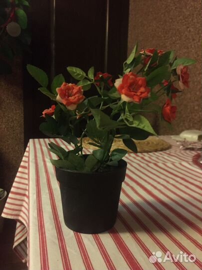 Фейка,икеа,искусственное растение