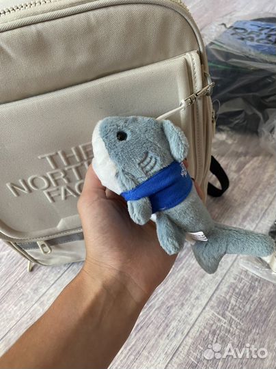 Рюкзак школьный the north face