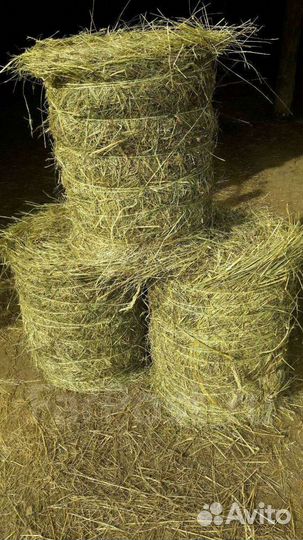 Сено луговое