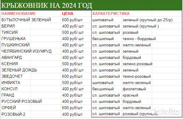 Крыжовник продажа Барнаул