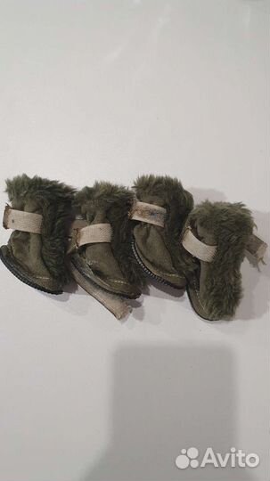 Ботинки для собаки