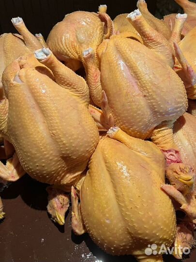 Куры бройлеры Халяль