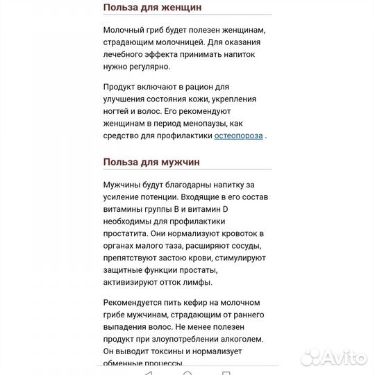 Кефирный гриб