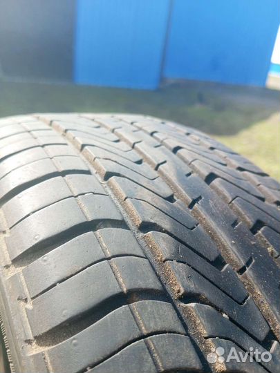 Triangle TR645 195/55 R16