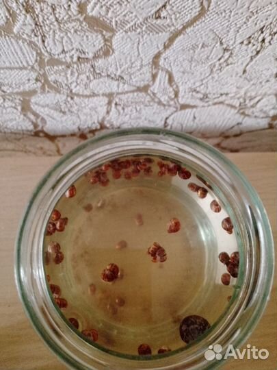 Улитки аквариумные