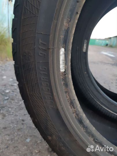 Maxxis SP3 Premitra Ice 205/55 R16 91T