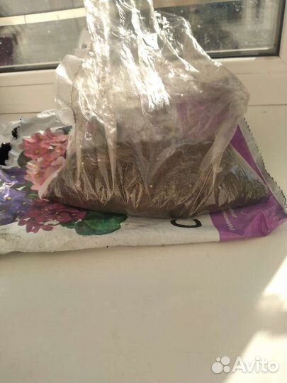 Грунт обмен, горшок для орхидей