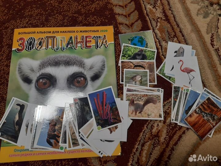 Наклейки panini зоопланета