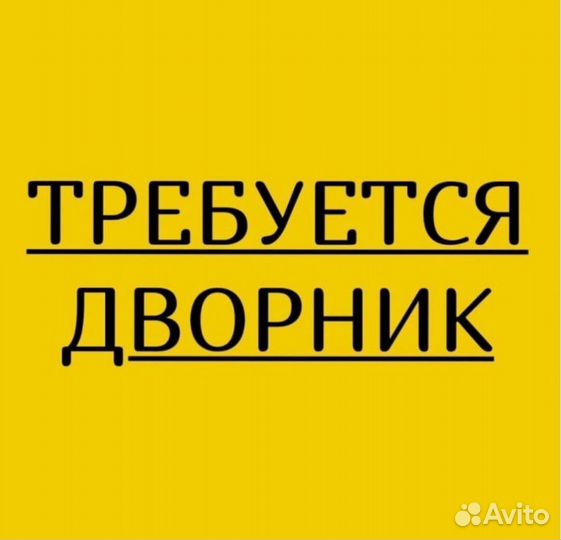 Дворник с доставкой на работу
