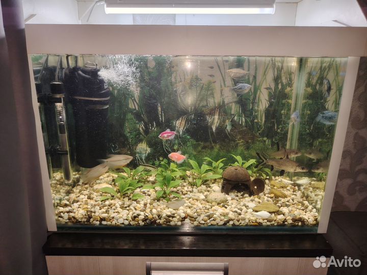 Аквариум с тумбой 70 литров