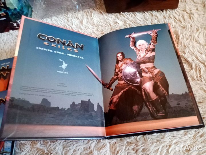 Мерч из лимитированного издания Conan Exiles PS4