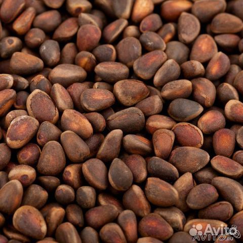 Кедровый Орех Опт и Розница