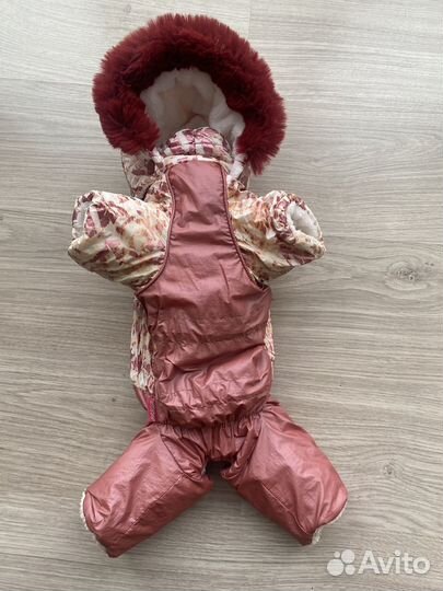 Зимний комбенизон для чихуахуа