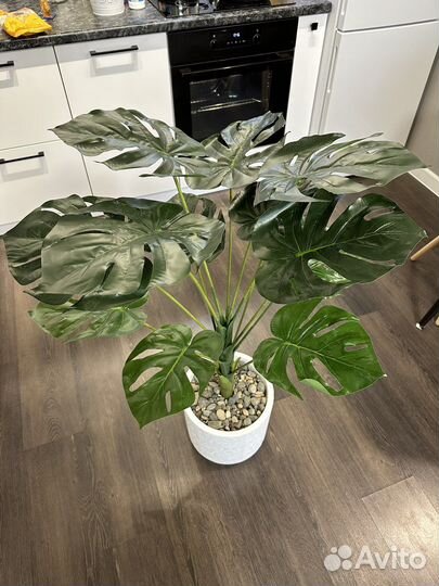 Искусственное растение монстера