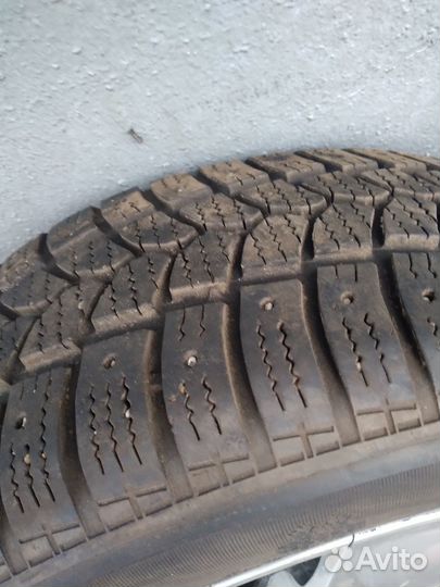 Tigar Sigura Stud 205/55 R16
