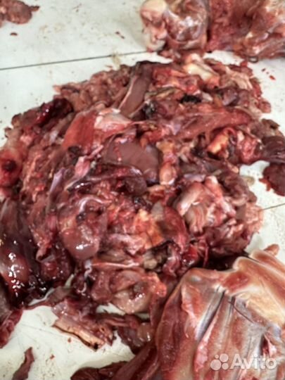 Говяжьи обрези для собак