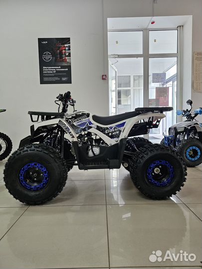 Квадроцикл C8 NEW 2024 (А1)