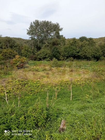 Участок 40 сот. (ИЖС)