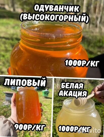 Отговорю покупать Настоящий мед 2024г