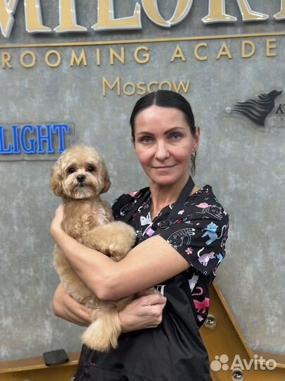 Услуги грумера