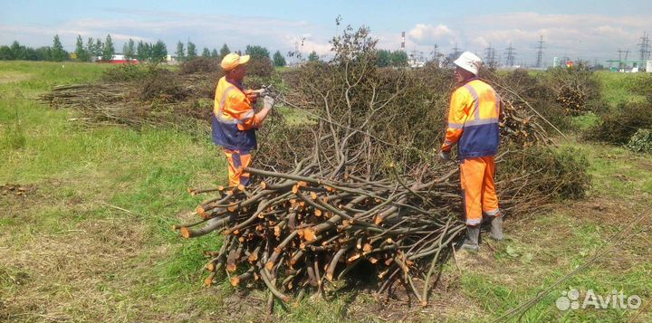 Очистка участков, щепорез