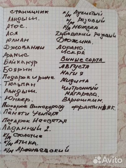Саженцы винограда