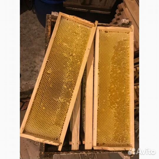 Полурамки с сушью для ульёв