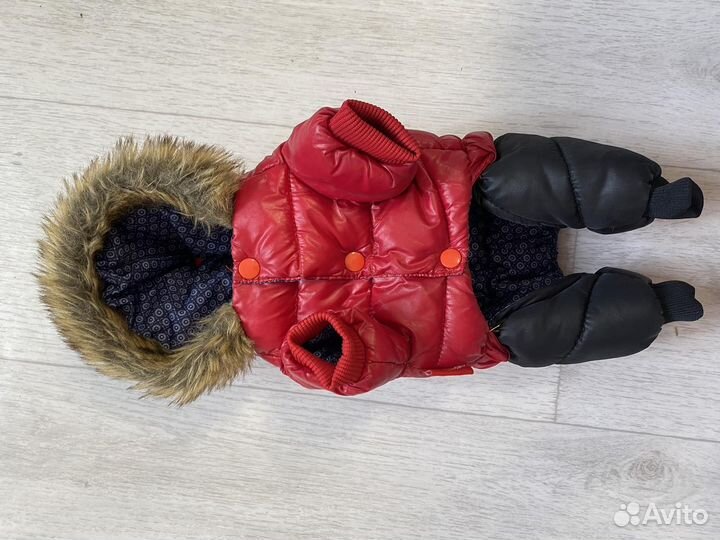 Костюмы для маленьких собак