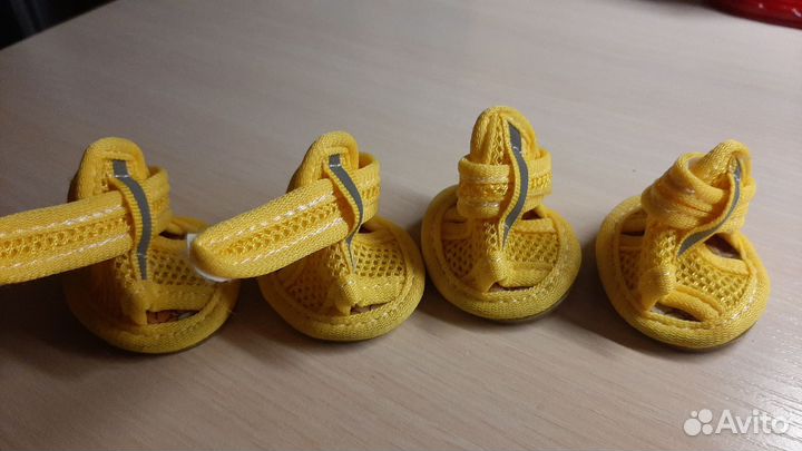 Обувь для собак