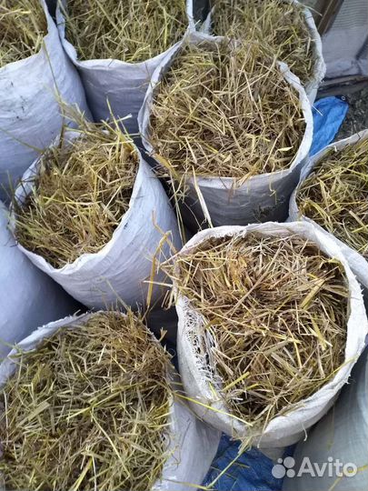 Солома в мешках 2023