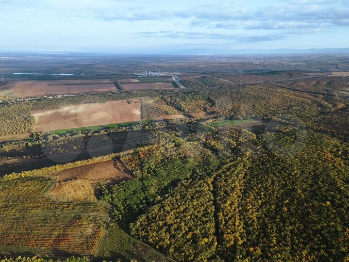 Участок 92 га (СНТ, ДНП)