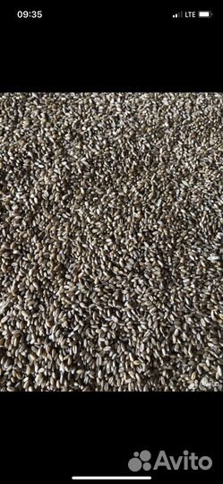 Кукуруза дробленая опт и розница