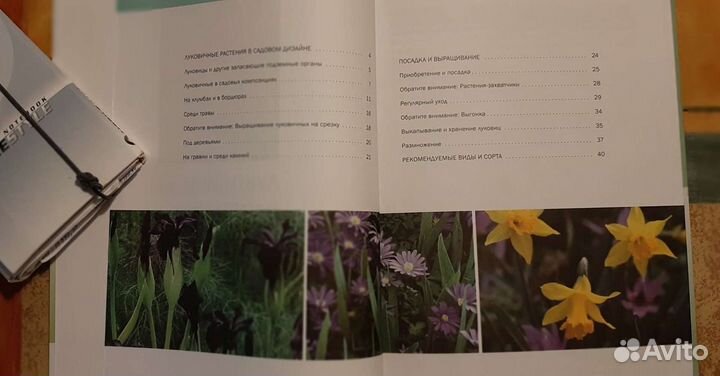 Книга о цветах Справочник Луковичные растения