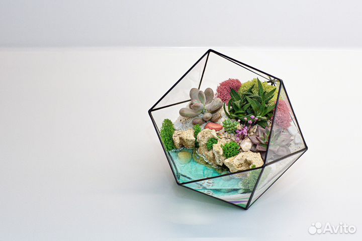Флорариум в наличии