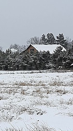 Участок 25 сот. (ИЖС)