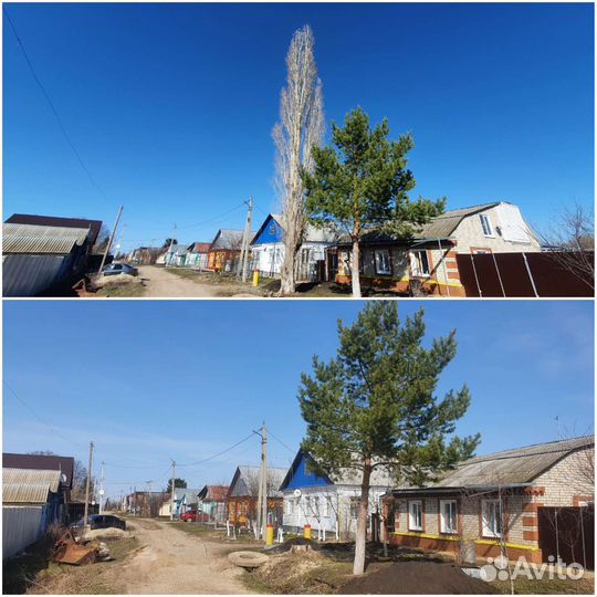 Спил деревьев расчистка участков