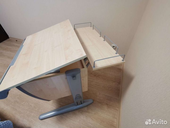 Парта Дэми растущая с полкой сзади и под партой