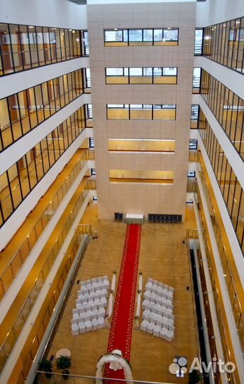 Красная ковровая дорожка