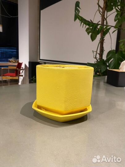 Горшки и кашпо для цветов