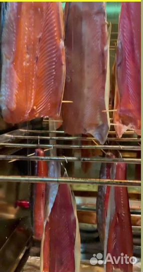 Коптильня горячего и холодного копчения +суш\вял