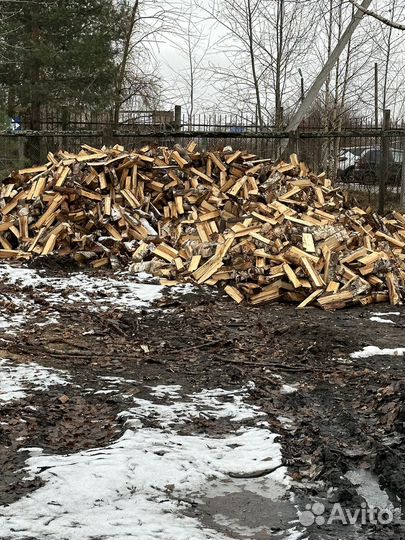 Дрова береза