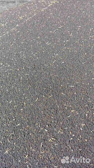 Продам рапс