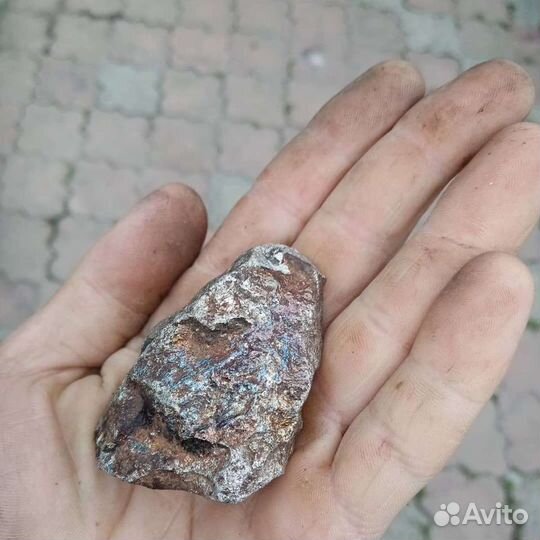 Метеорит луныи хамелеон настоящии. Цен дог