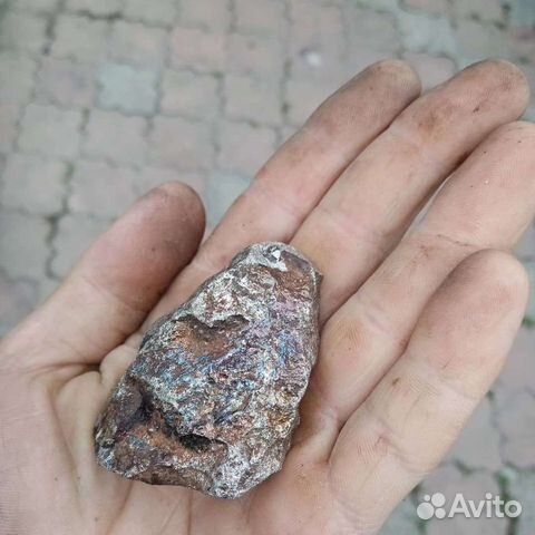 Метеорит луныи хамелеон настоящии. Цен дог