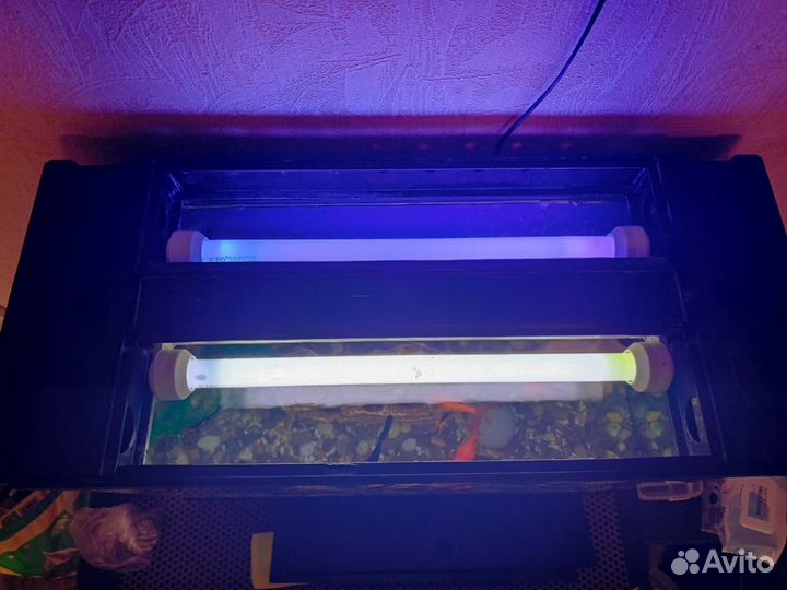Аквариум 100л. Торг