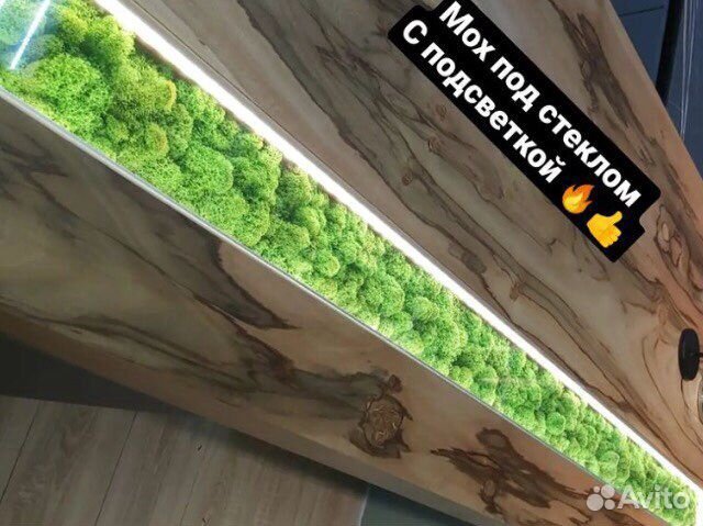 Мох стабилизированный