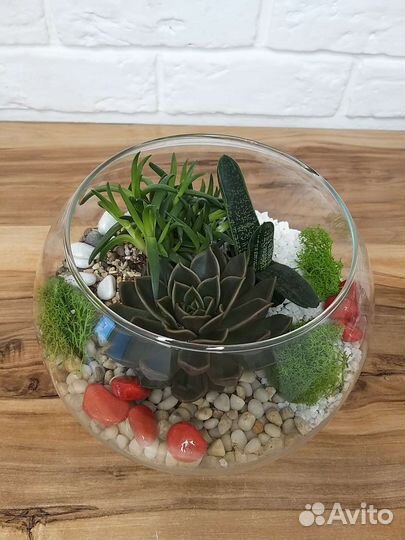 Цветы, флороариум